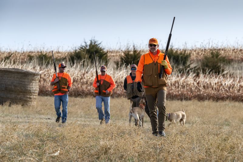 pheasanthunting11-09-19cc0733-cd5d0f86.jpg