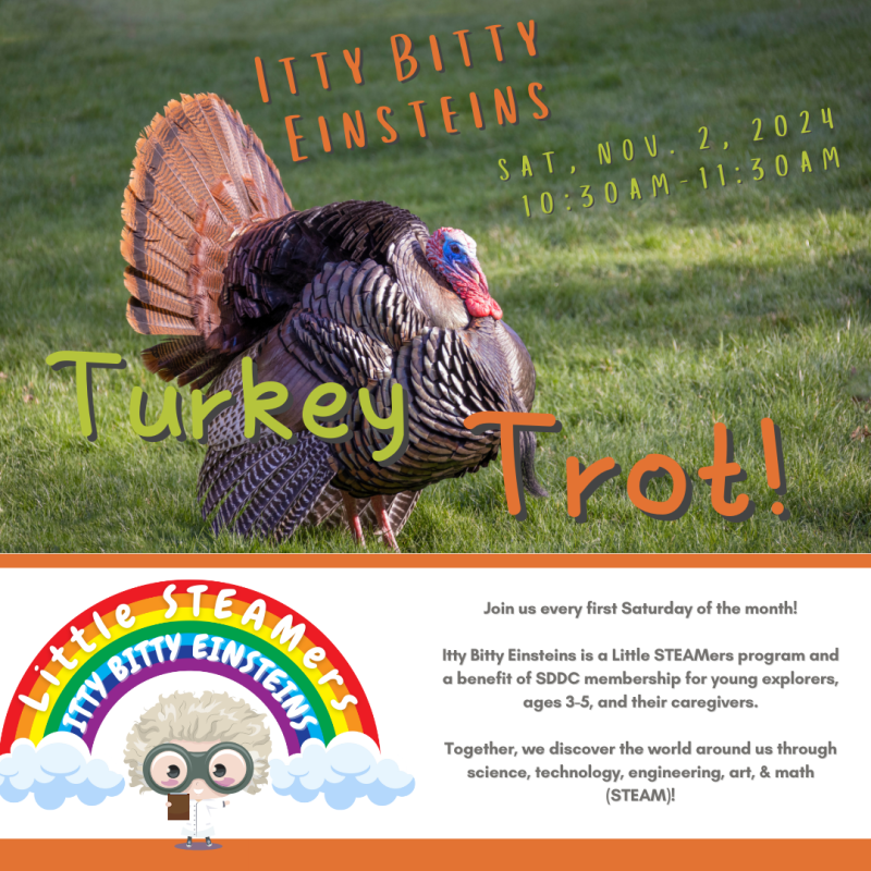 turkey-trot-2ed350ba.png