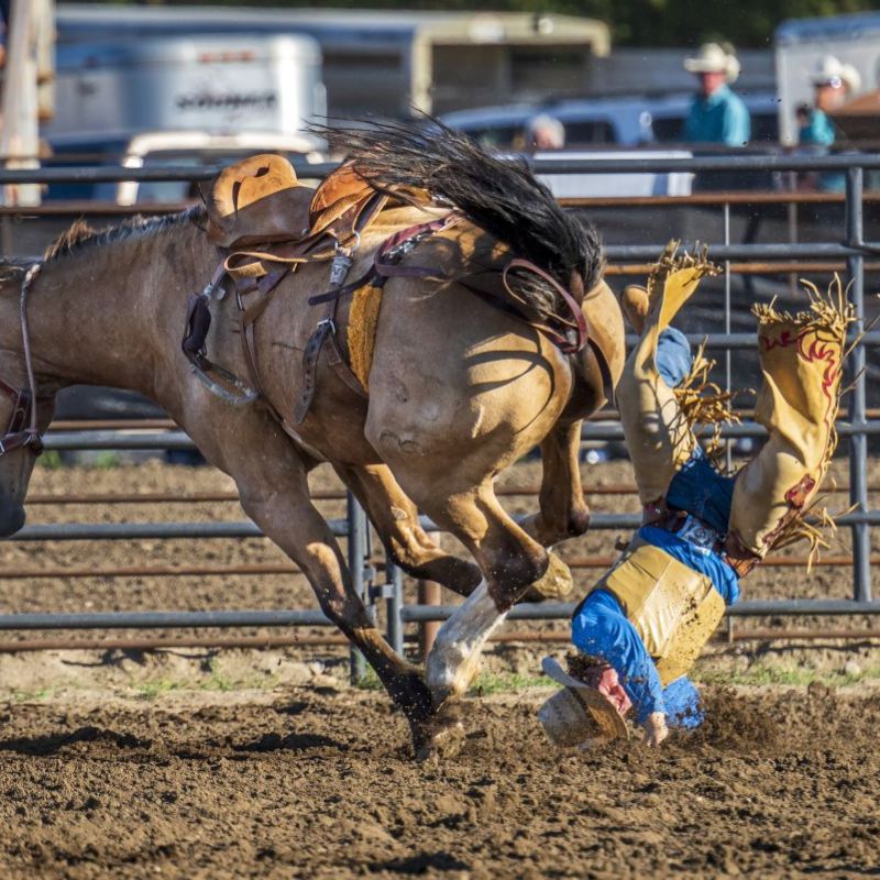 Fort Pierre CoC & Fort Pierre Horse Racing