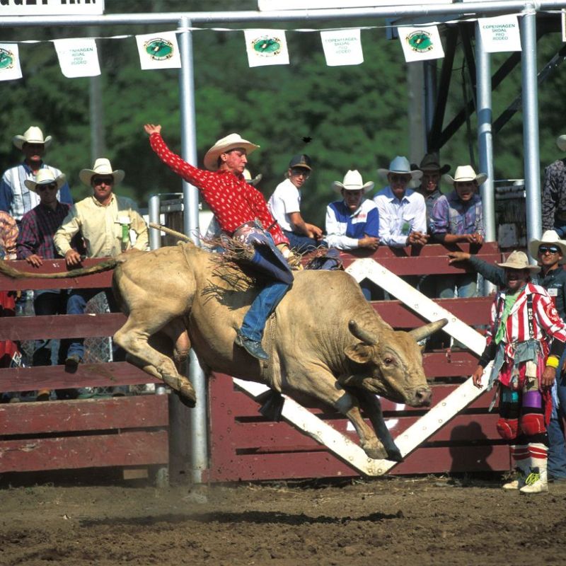 Stanley County Fairgrounds