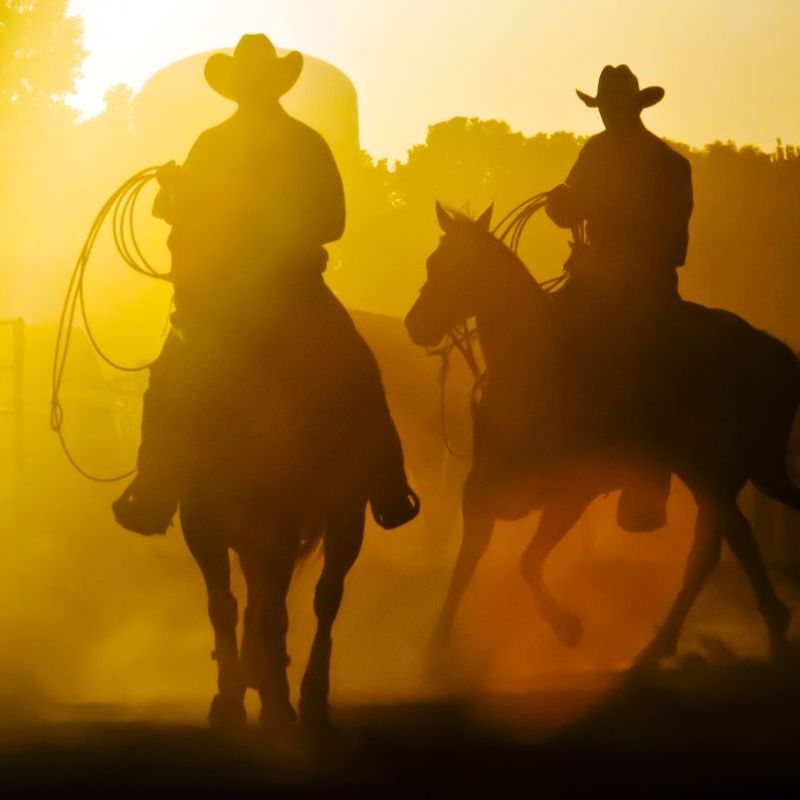 Sitting Bull Stampede Rodeo