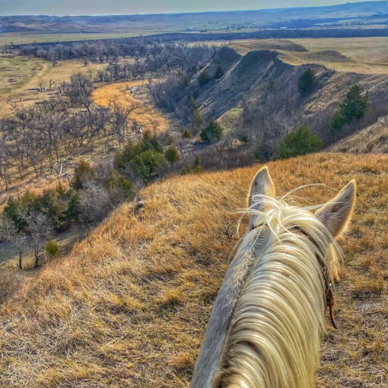 South Dakota Access