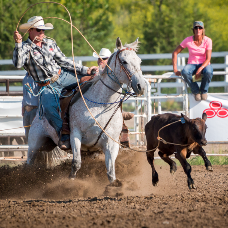 Stanley County Fairgrounds