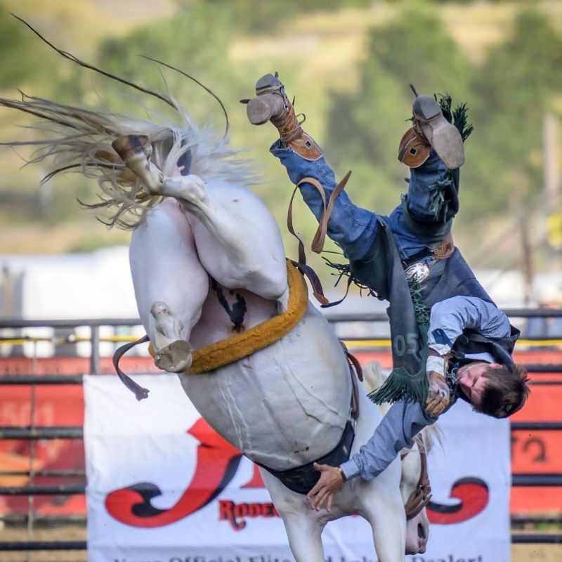 Fort Pierre CoC & Fort Pierre Horse Racing